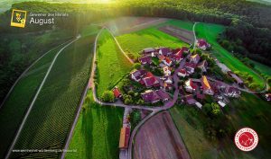 Man sieht eine mit einer Drohne angefertigte Aufnahme von Adrian Weng, er nannte das Foto "Weinanbau von oben".