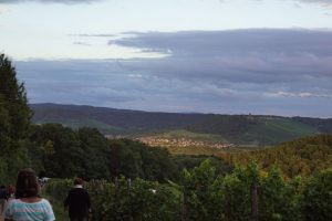 Der Ausblick auf der Strecke bei "Der klingende Weinberg", einer Veranstaltung der Bottwartaler Winzer.