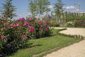 Blumen auf der Bundesgartenschau