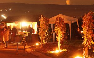 Besucher bei Berg in Flammen
