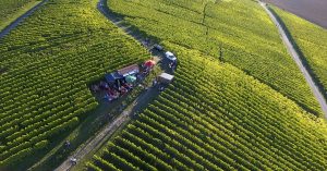 Das Wengerth&auml;usle am Breitenauer See von oben
