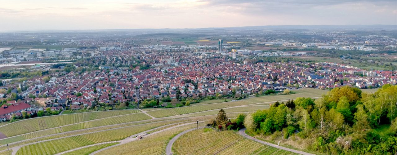 Fellbach Weinheimat Blog