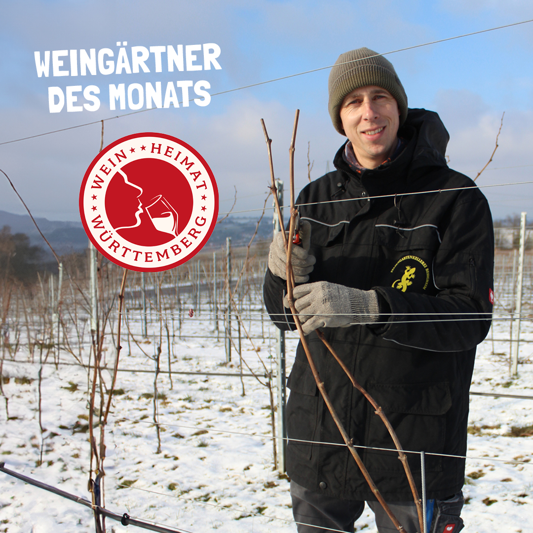 Weing rtner Des Monats Jetzt Auch Im Blog Echt W rttemberger Blog weing-rtner-des-monats-jetzt-auch-im-blog-echt-w-rttemberger-blog