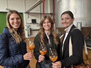 Die Deutschen Weinhoheiten 2024/2025 sto&szlig;en mit dem Sprizz der Weinkellerei Hohenlohe an.