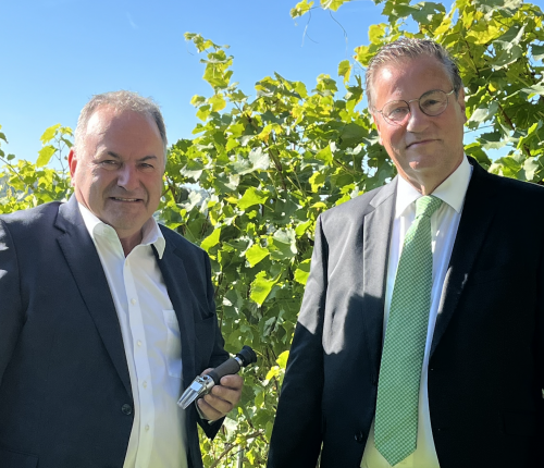 Württemberg blickt auf vielversprechenden Weinjahrgang 2025