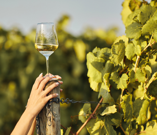 Events im März 2026