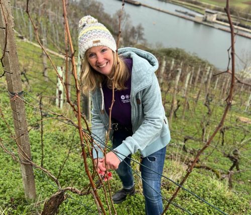 Echt Württemberger Weinmacherin: Heidrun Entenmann