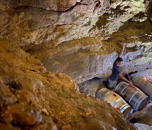 Neues aus den Genossenschaften