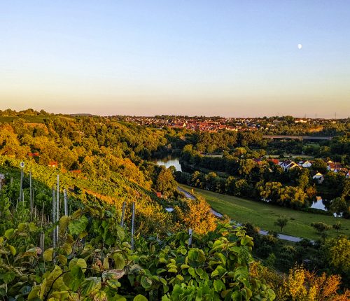 Schillerndes Marbach: literarisch und genussvoll