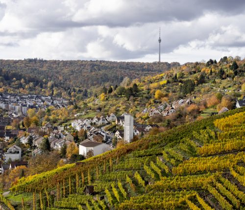Rohracker: Auf alten Staffeln zum jungen Wein