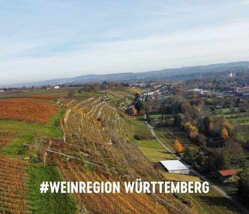 Ausflugtipp: Lauffen am Neckar