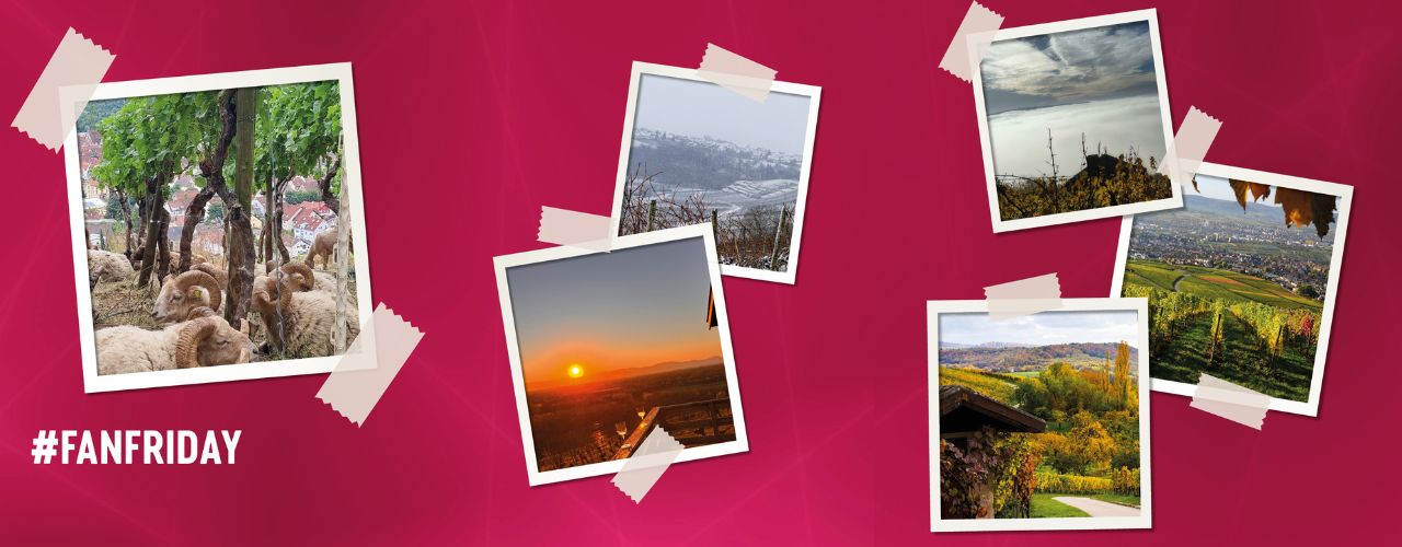 #FANFRIDAY Februar