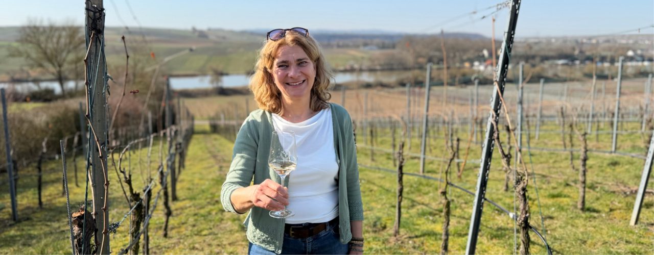 Württemberger Rebsorte: Grauburgunder