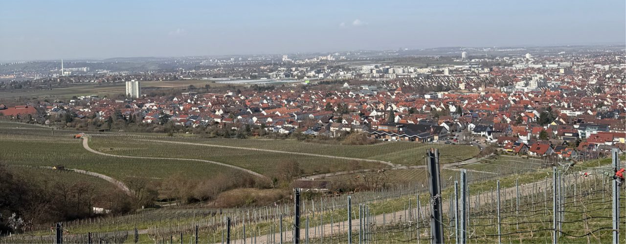 Ausflugtipp Kappelberg in Fellbach