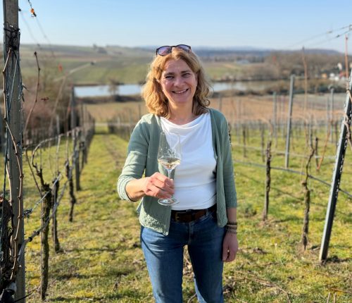 Württemberger Rebsorte: Grauburgunder