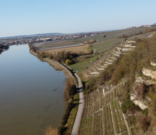 Ausflugtipp Weinwege Württemberg