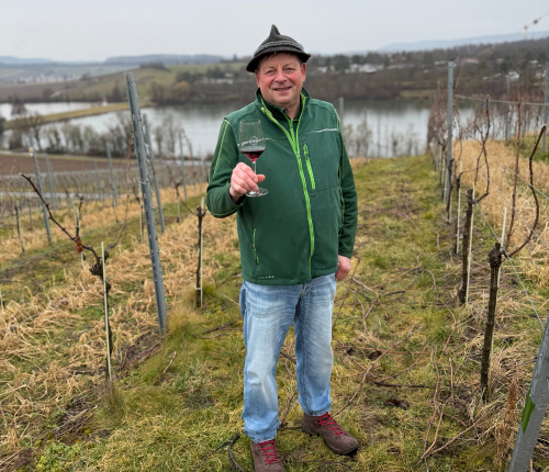 Württemberger Rebsorte: Lemberger