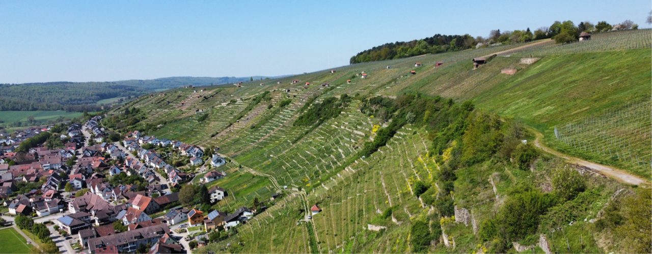 Ausflugtipp Enztal