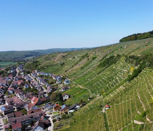 Die Württemberger Lagen – eine Besonderheit der Region