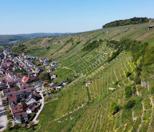 Ausflugtipp Enztal