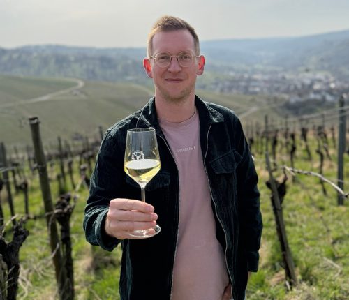 Württemberger Rebsorte: Chardonnay
