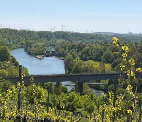 Ausflugtipp: Bottwartal-Marbach