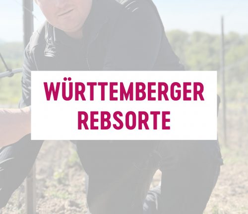 Württemberger Rebsorte: Riesling