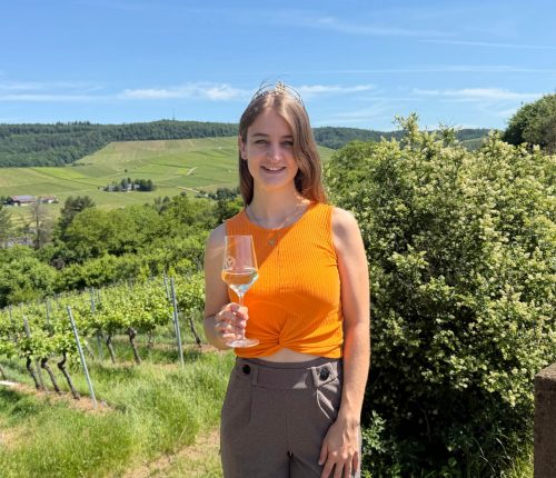 Wein verstehen mit der Weinkönigin Natalie: Wein lagern