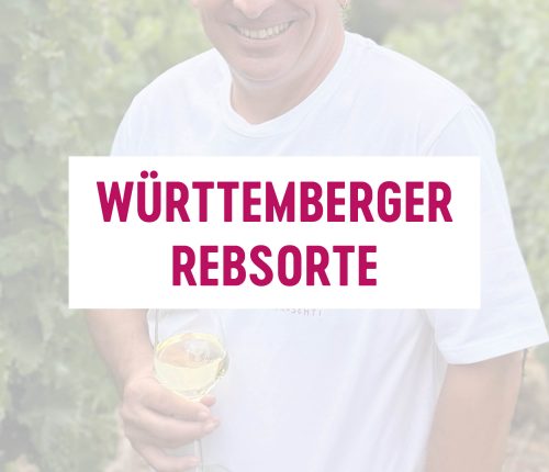 Württemberger Rebsorte: Sauvignon Blanc