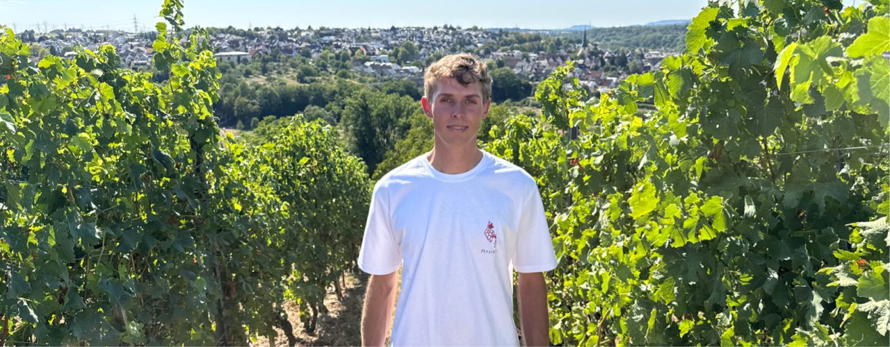 Württemberger Weinherbst: Jungwinzer Noah Hauser