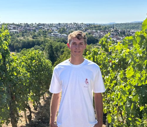 Württemberger Weinherbst: Jungwinzer Noah Hauser