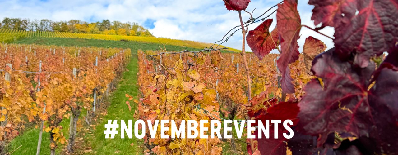 Events im November 2026