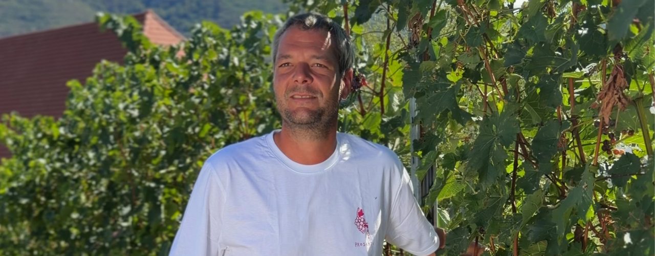 Württemberger Weinherbst: Robert